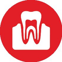 Smile Again Edmonds Dentist - Dental Implants Icon